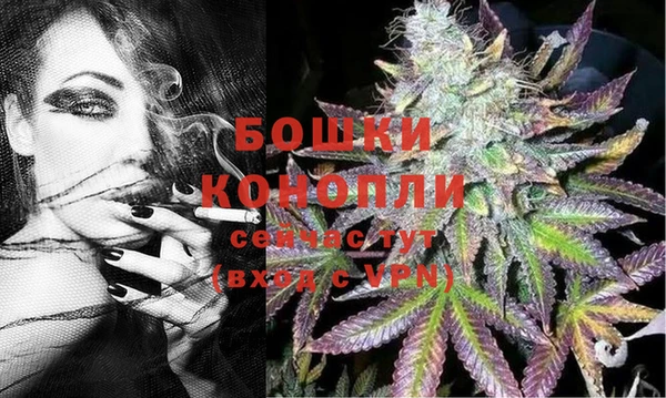 МДПВ Богданович