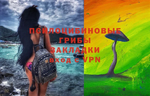 МДПВ Богданович