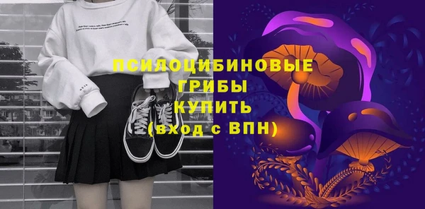 Альфа ПВП Богородицк