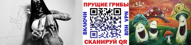Купить где  Усмань  Псилоцибиновые грибы Magic Shrooms 